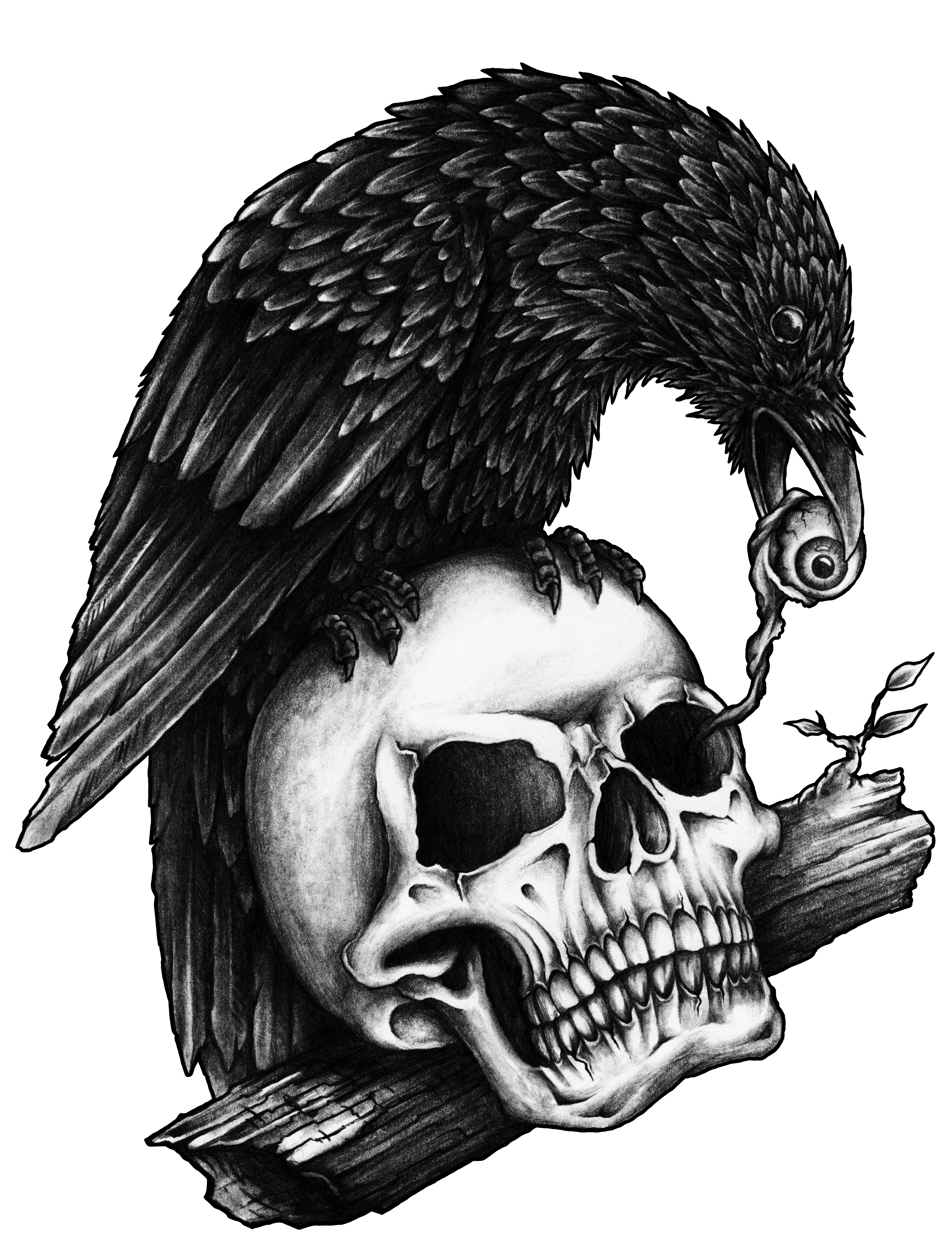 Kafatasında Karga Memento Mori
