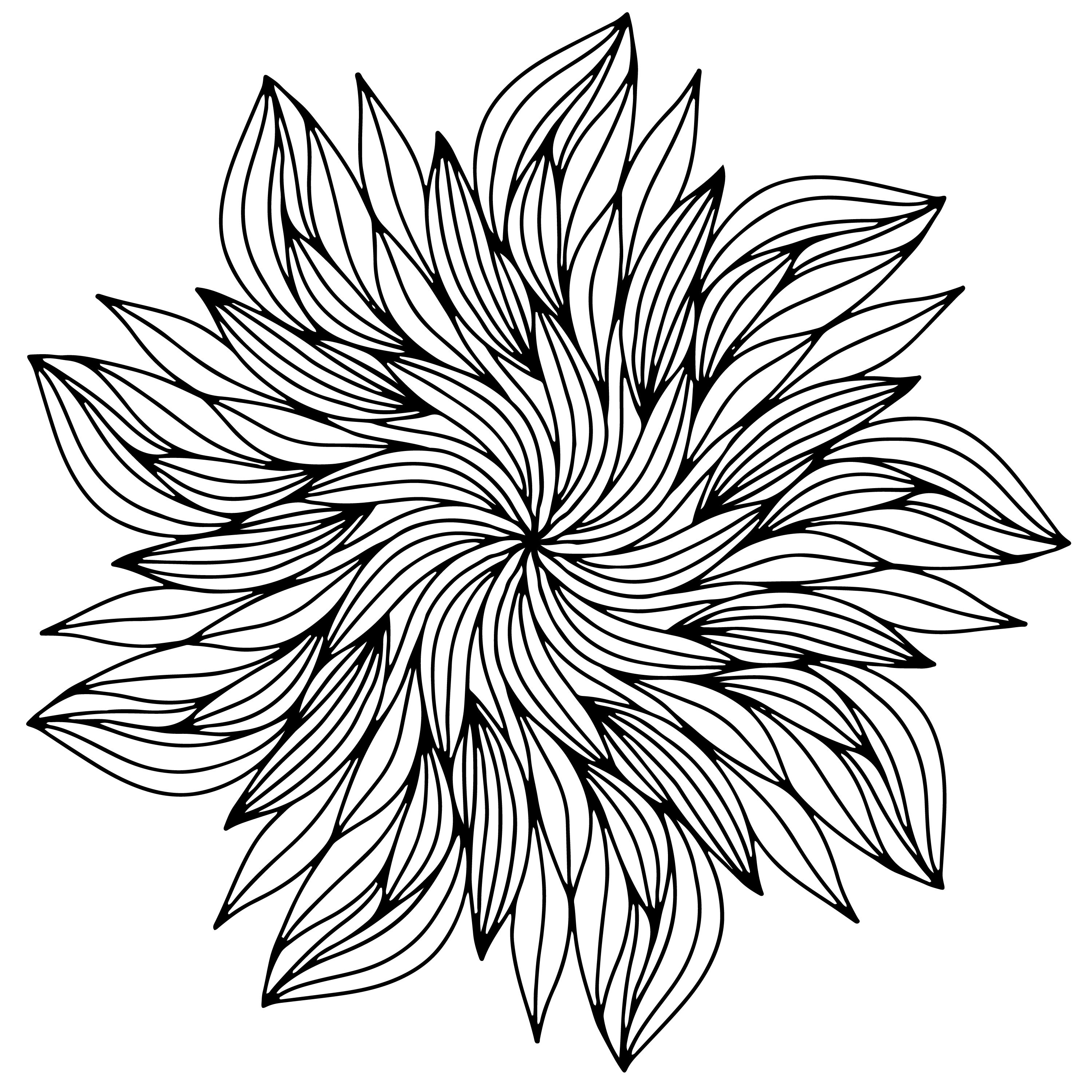 Stilize Çiçek İnce Petal Desenli