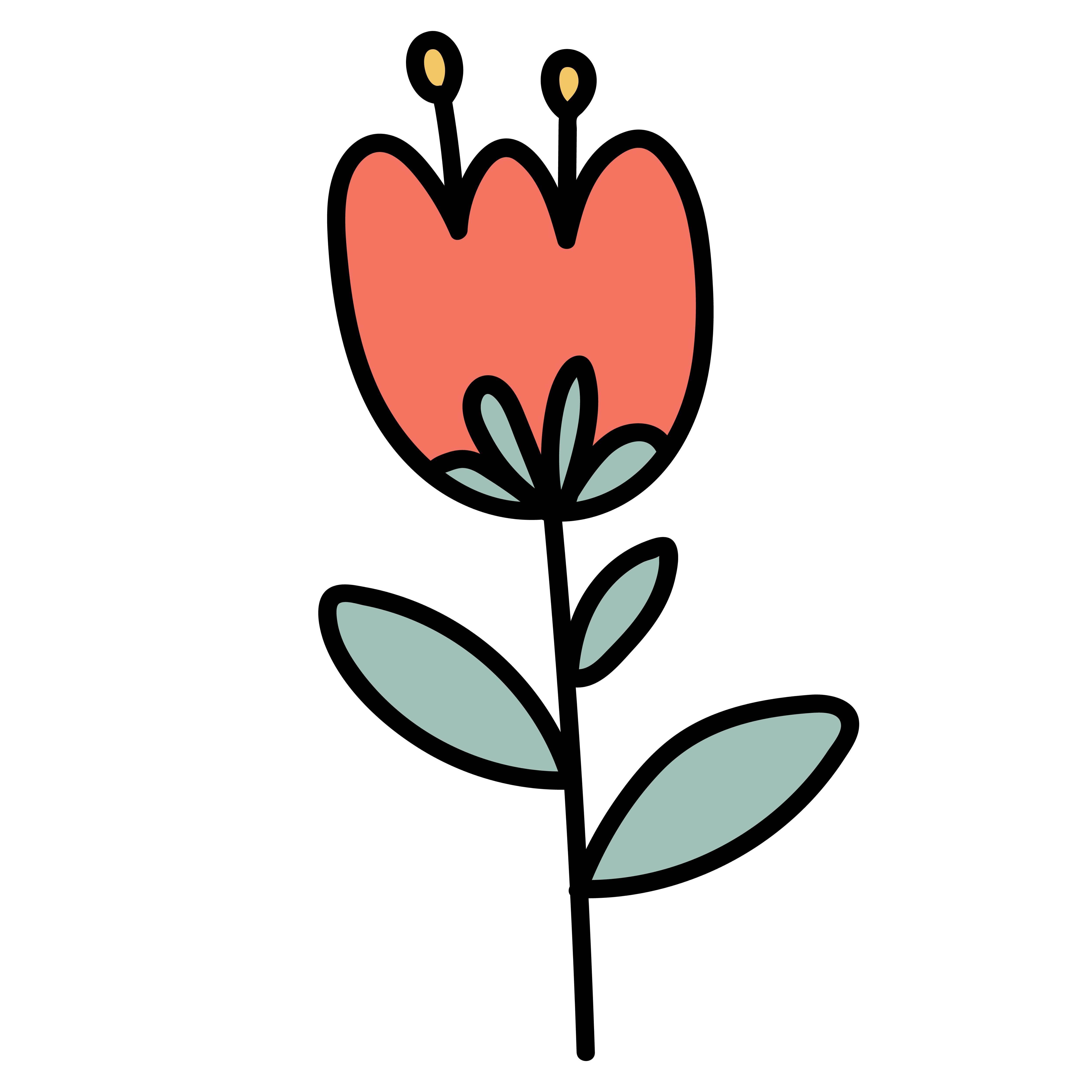 Kalp Şeklinde Çiçek - Tulip Motifi
