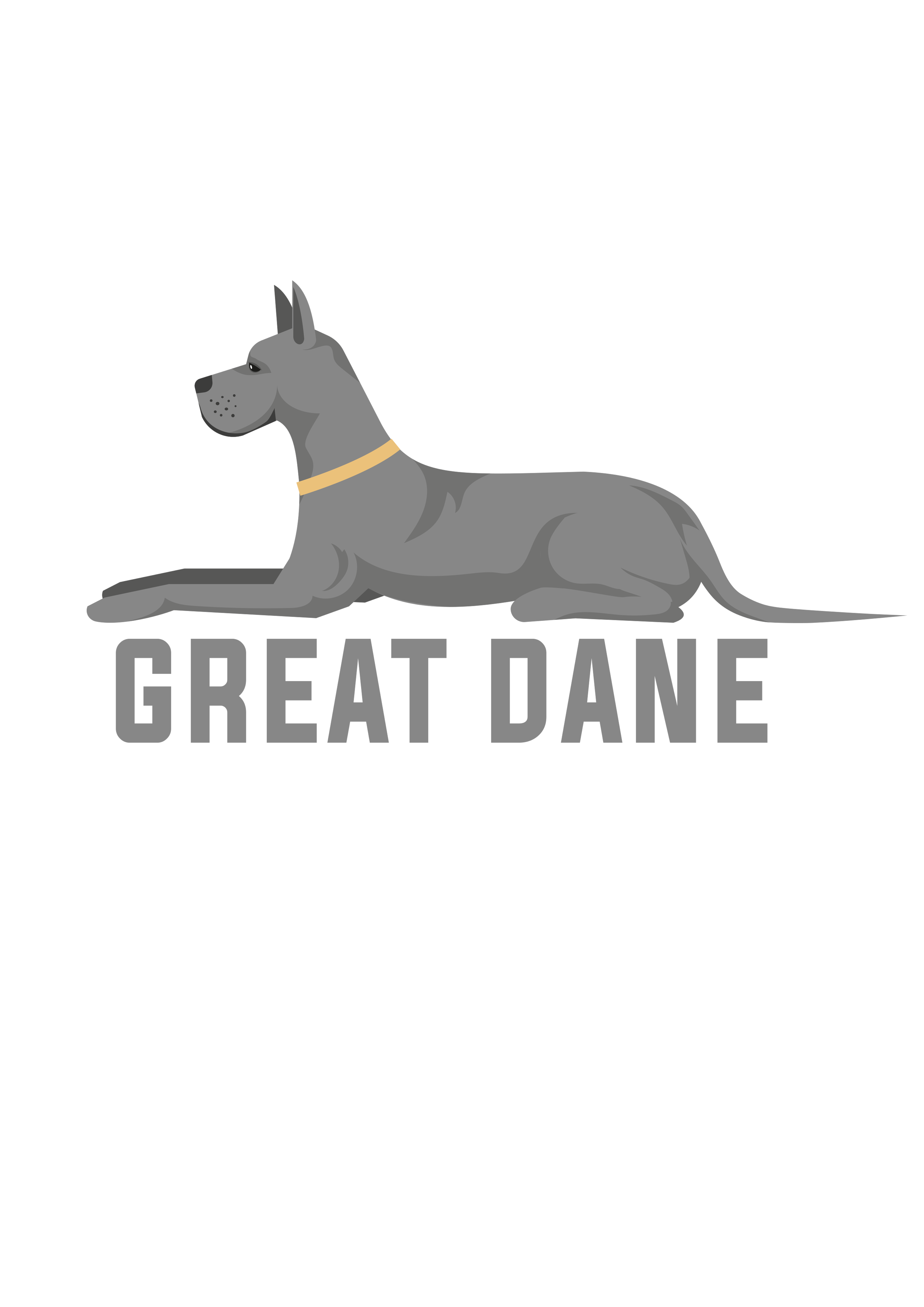 Büyük Dane Köpek Türü