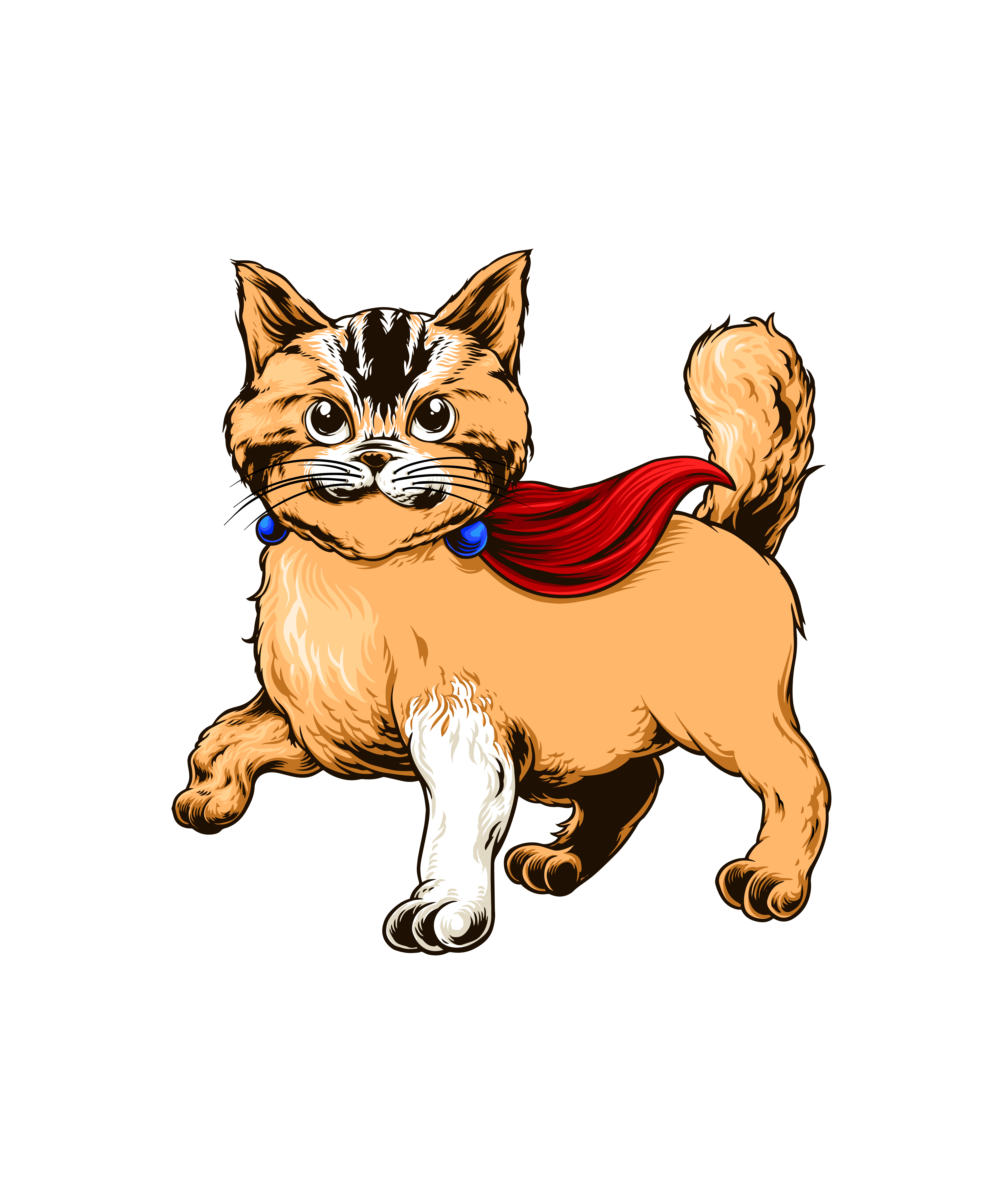 Süper Kahraman Kedi Pelerini
