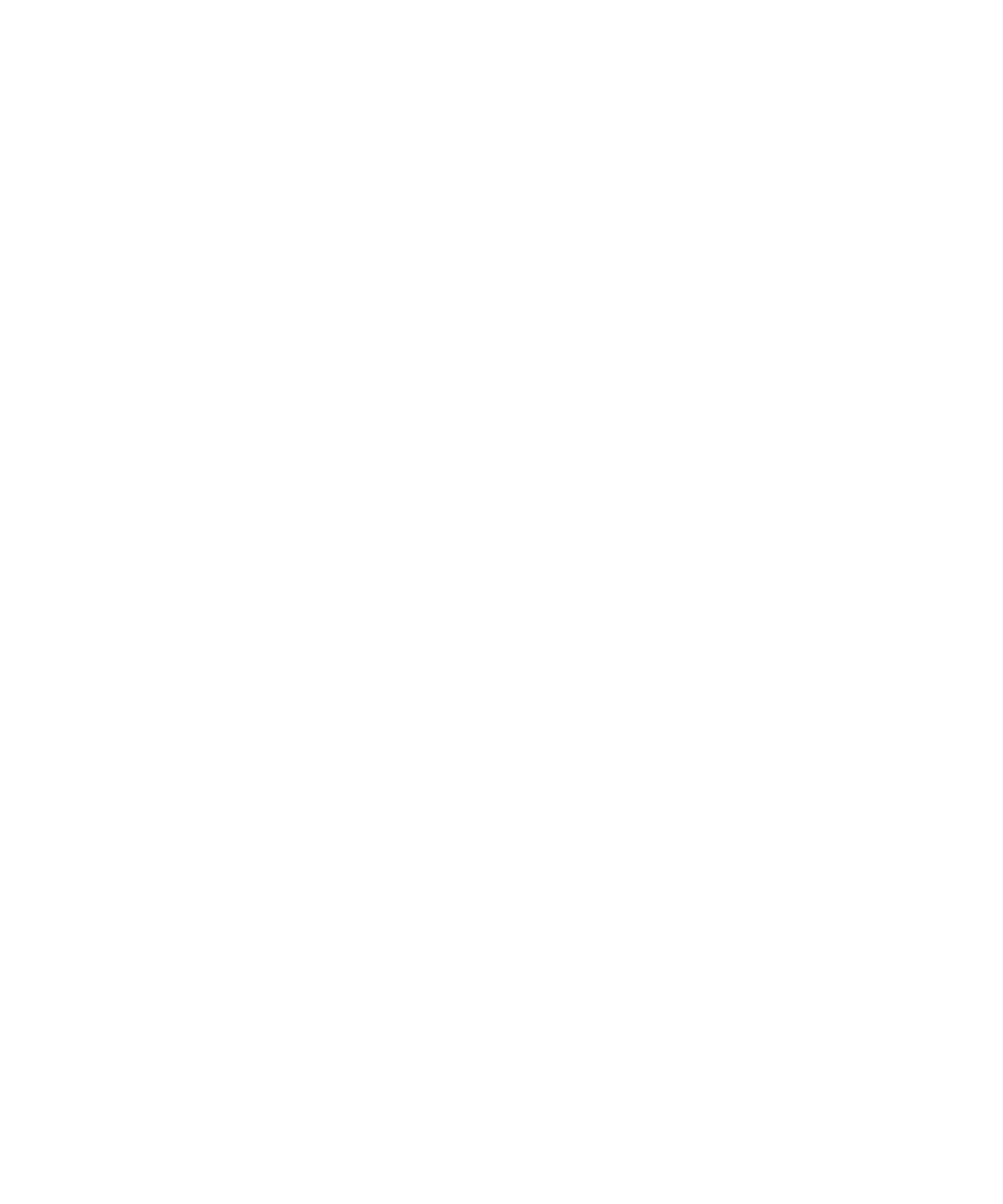 Zafer İçin Kan Akıtıyorum - Basketbol