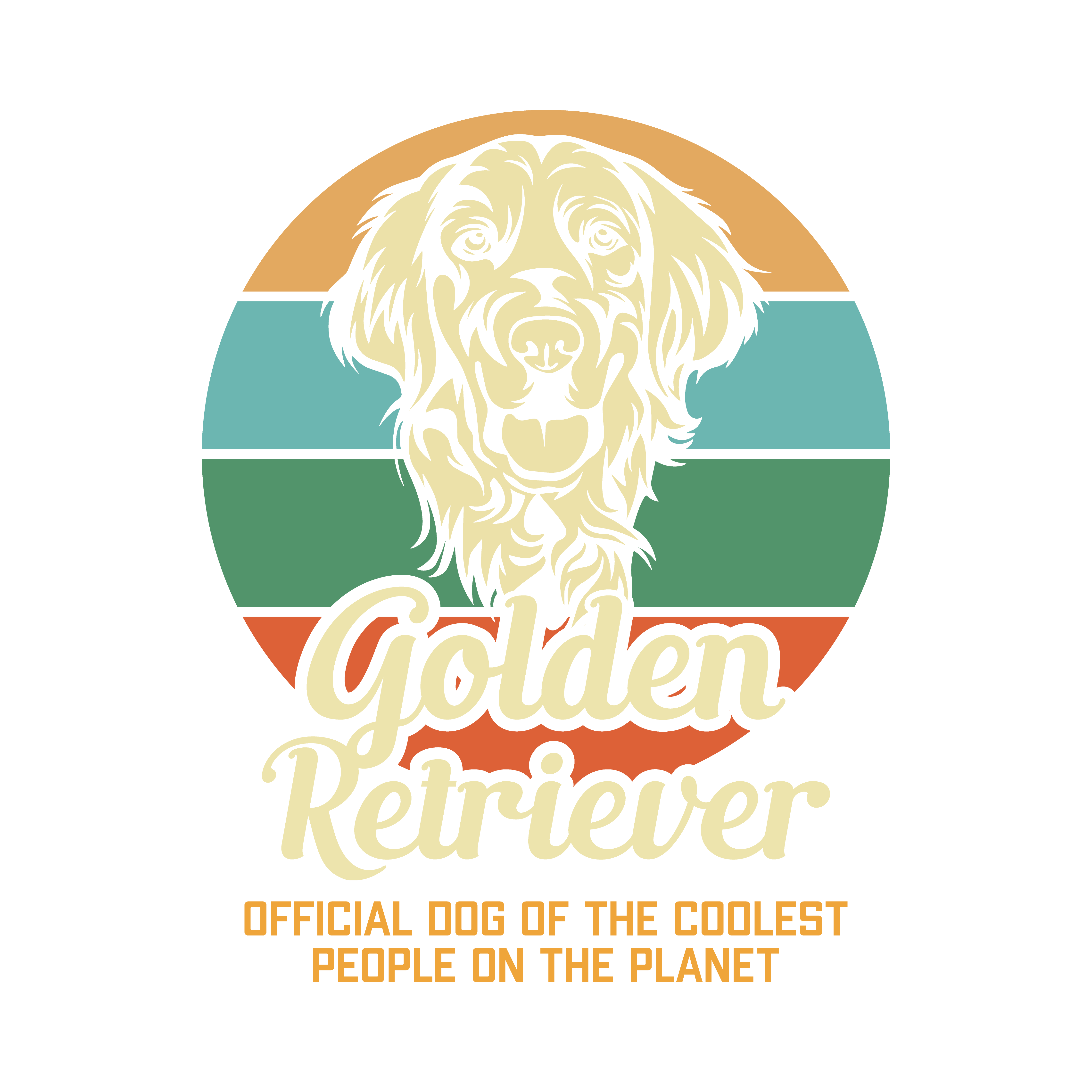 Golden Retriever Resmi Köpek