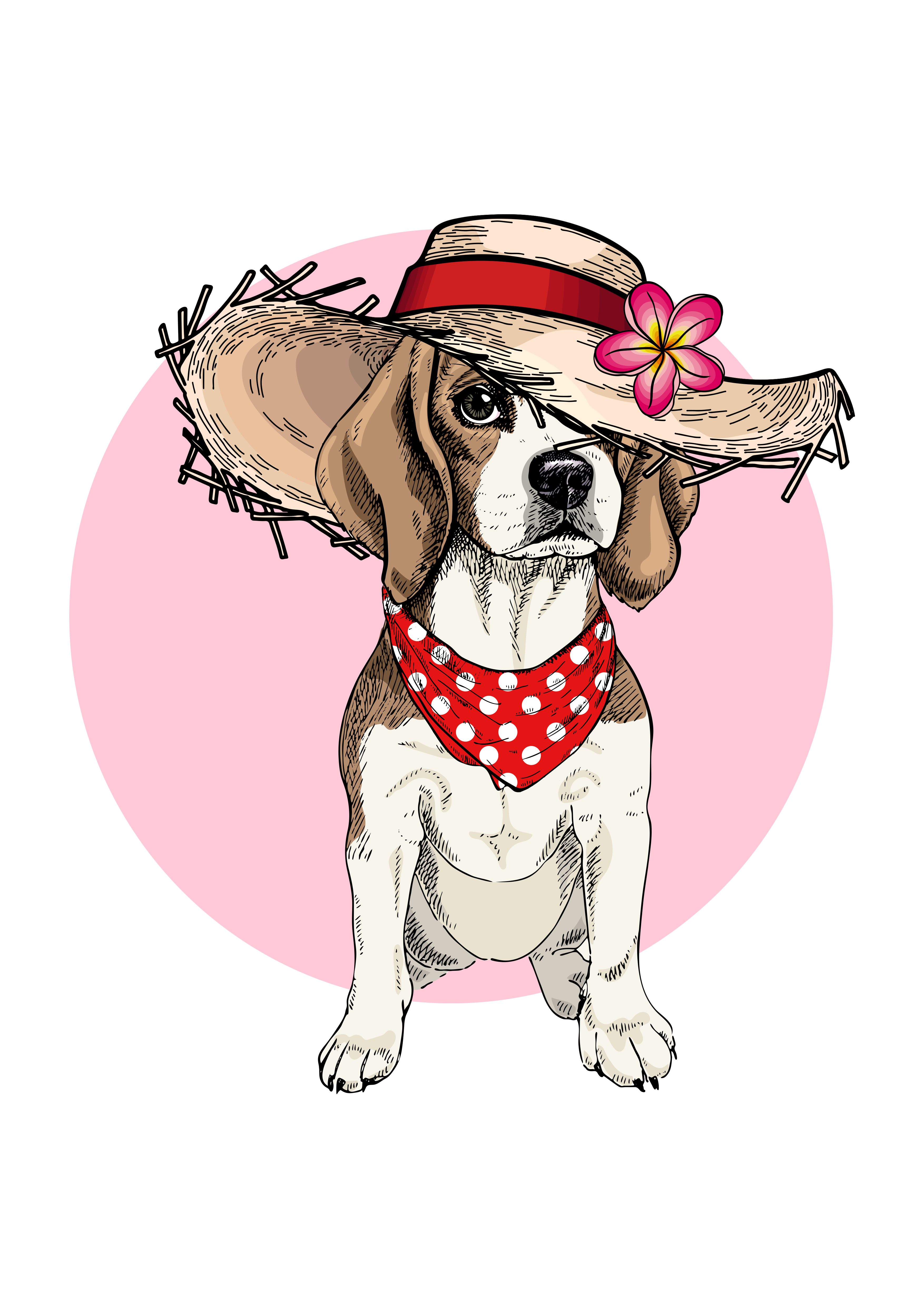 Şapkalı Beagle: Kırmızı Kurdeleli