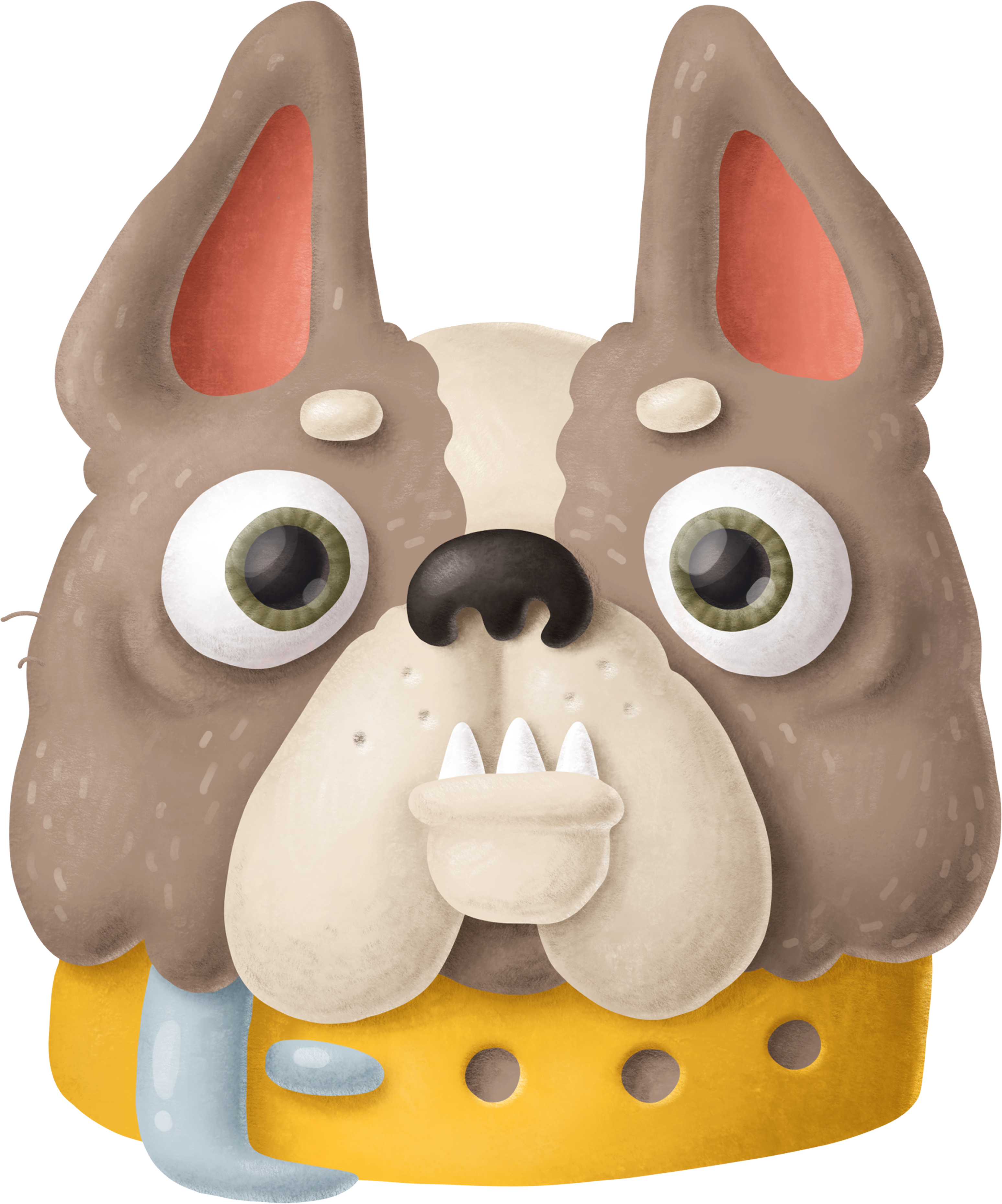 Sarı Tasmalı Bulldog Severler