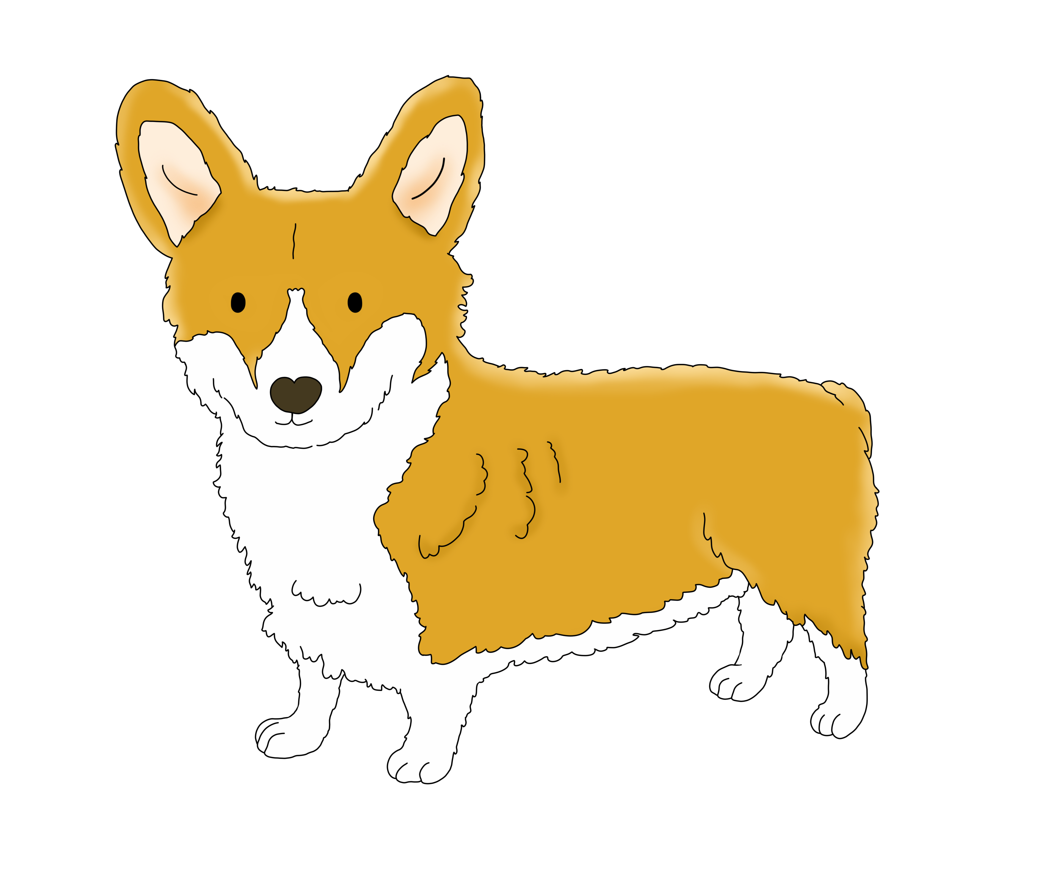 Kalp Burunlu Tatlı Corgi
