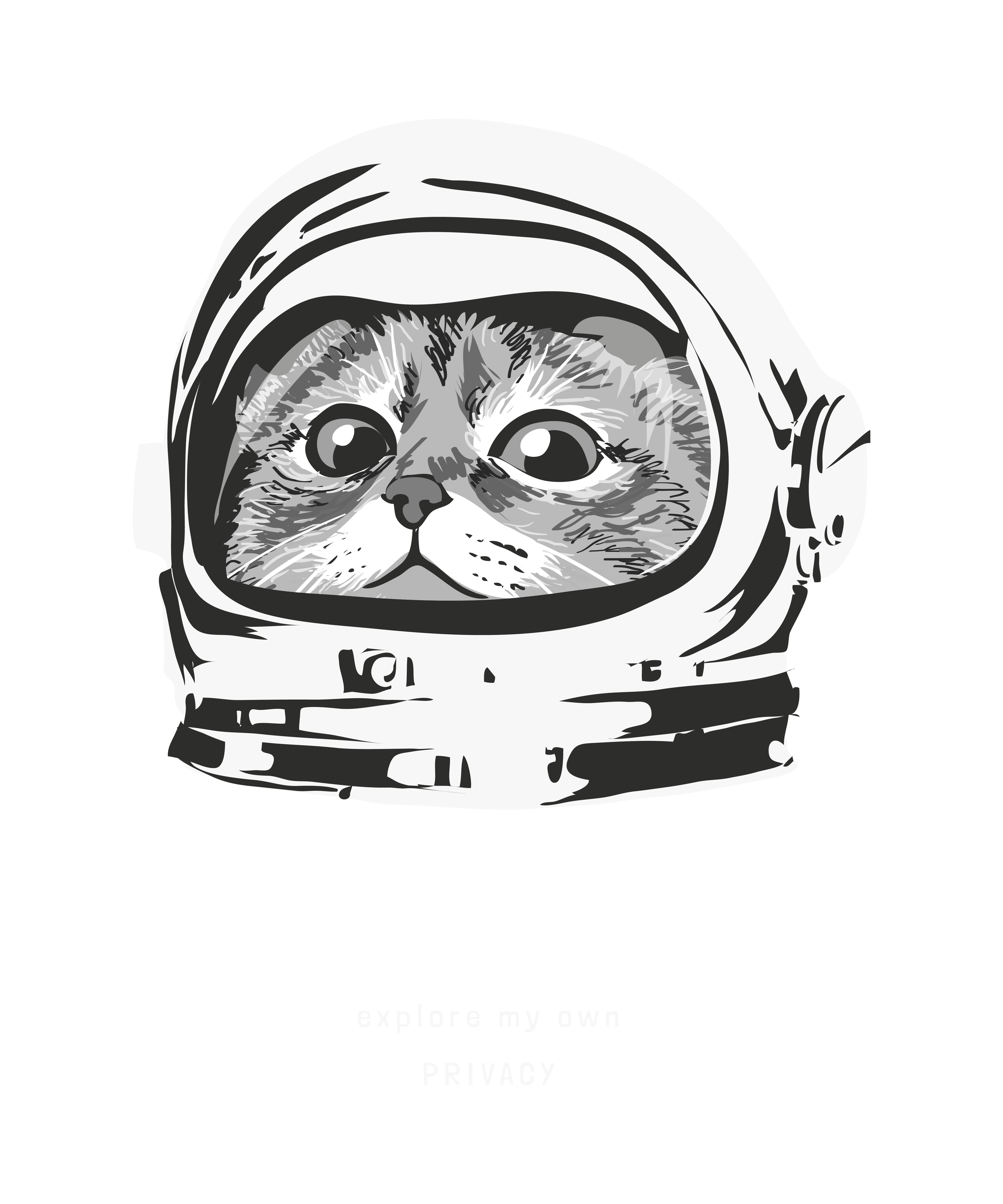 Astronot Kedi Gizlilik Evi