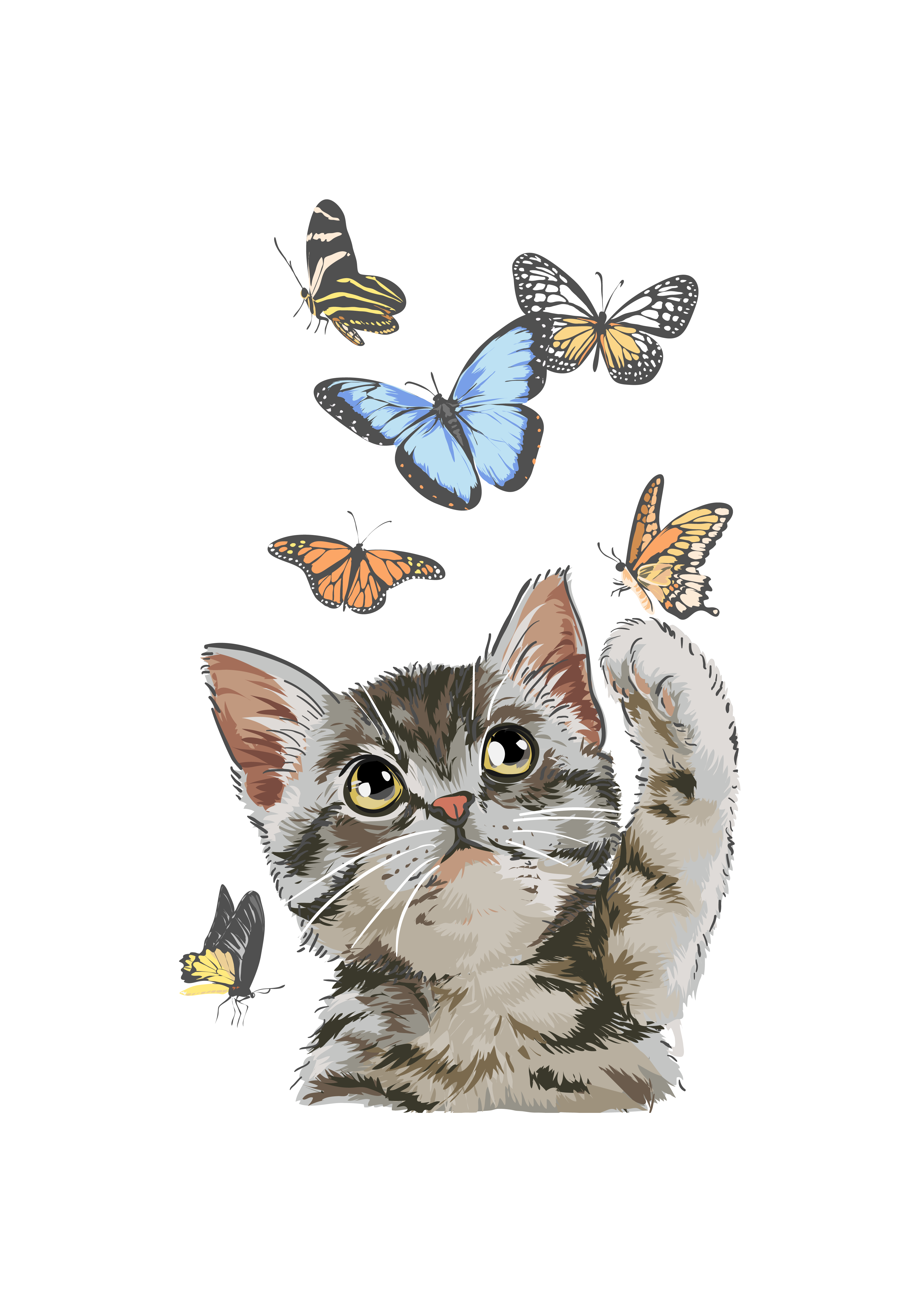 Tabby Kedi Kelebek Sahnesi